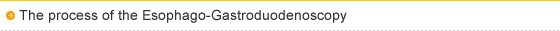 The process of the Esophago-Gastroduodenoscopy