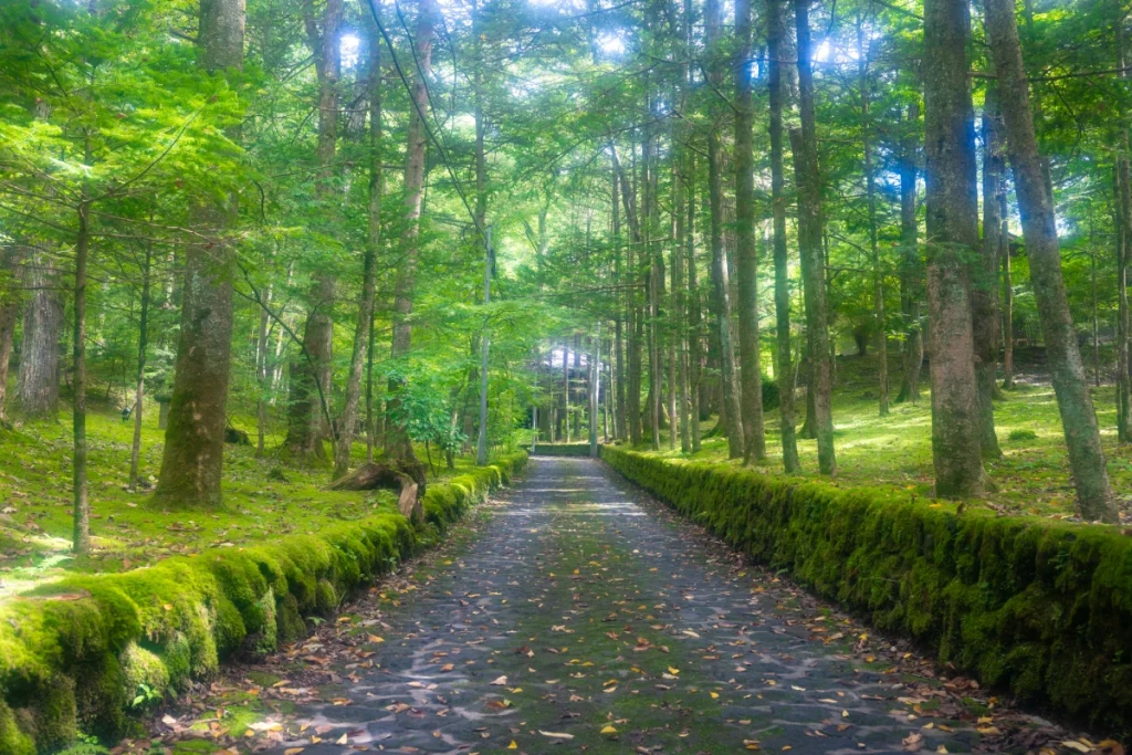 軽井沢の写真